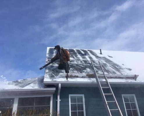 Winter Ice Damage leaf blower exposes shingles